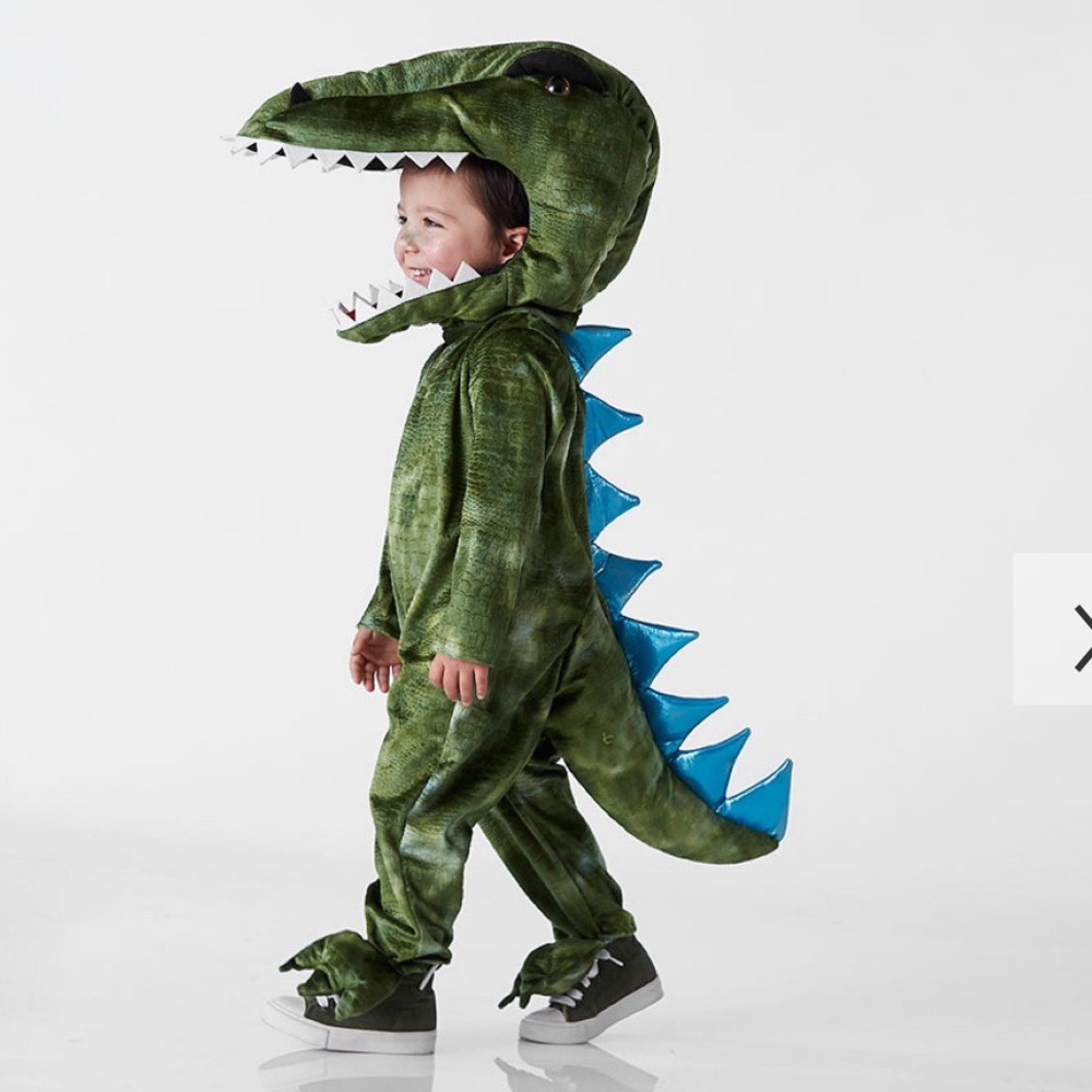 pottery barn, dinosaur Halloween costume in 2T